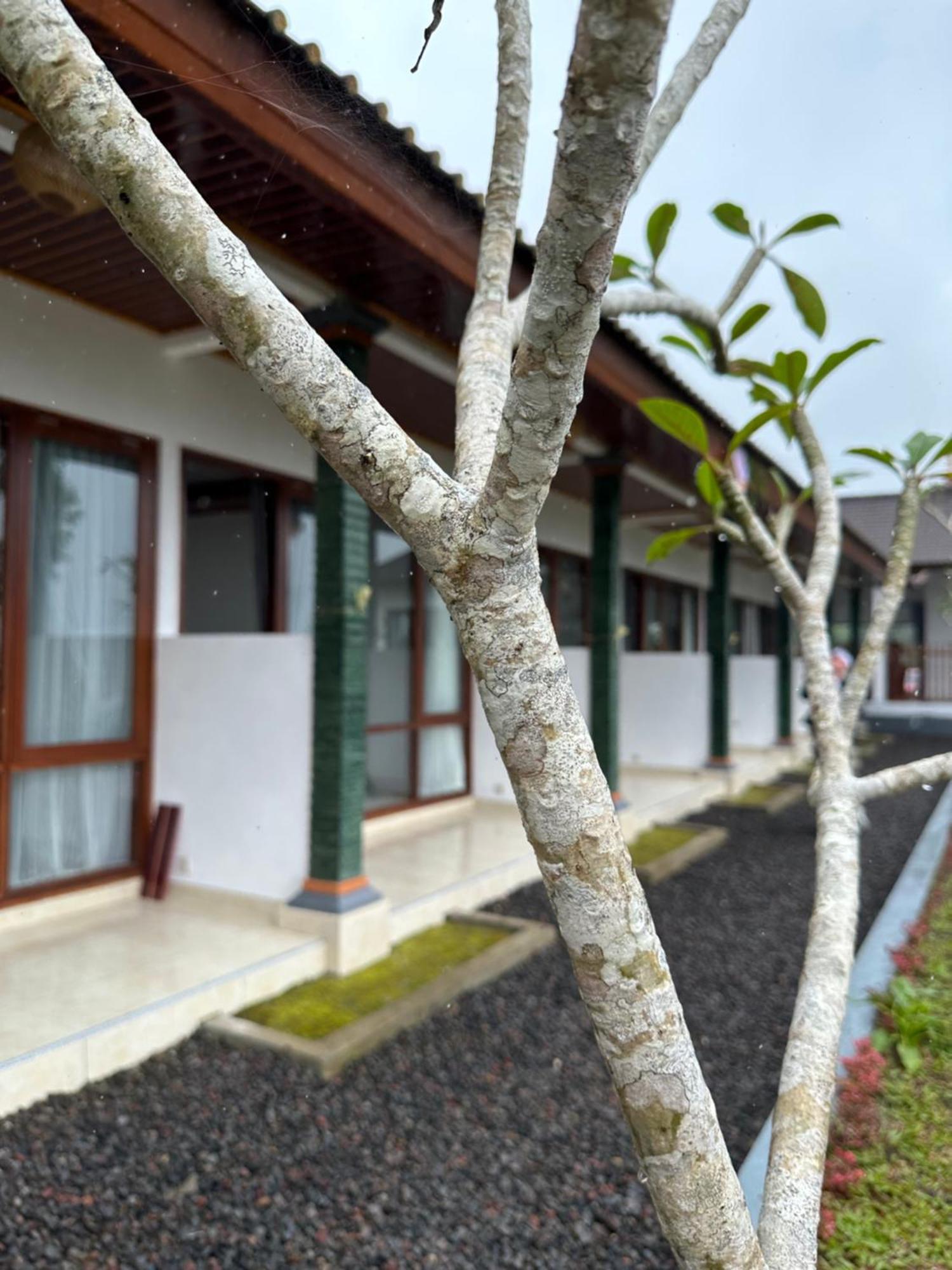 Bali Basuki Retreat Center Besakih Exterior foto